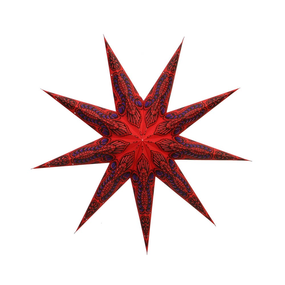 EPL 213 5-9 Ponter Paperlined Star