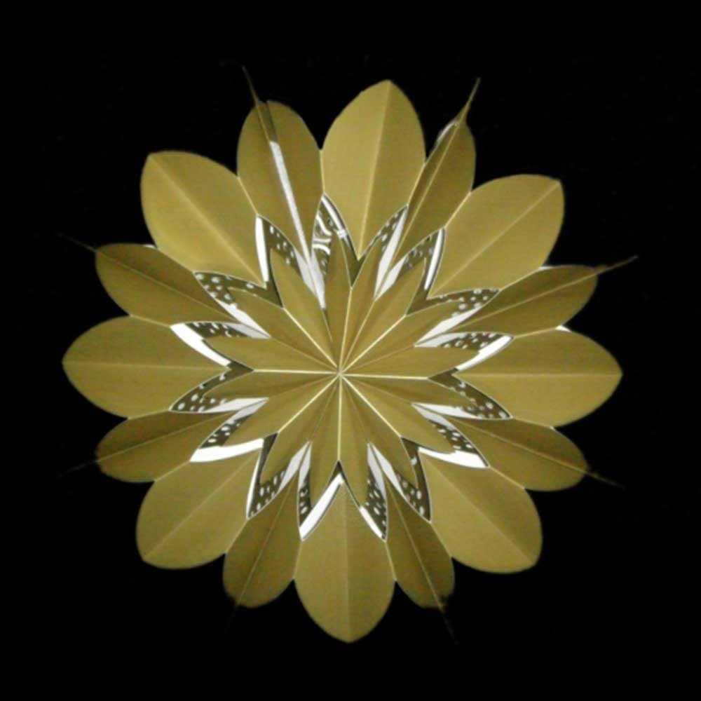 EP 083 Paper Doilies