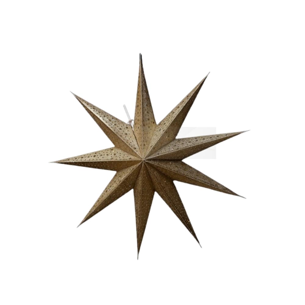 EP-046-Champ 9 Pointer Glitter Star