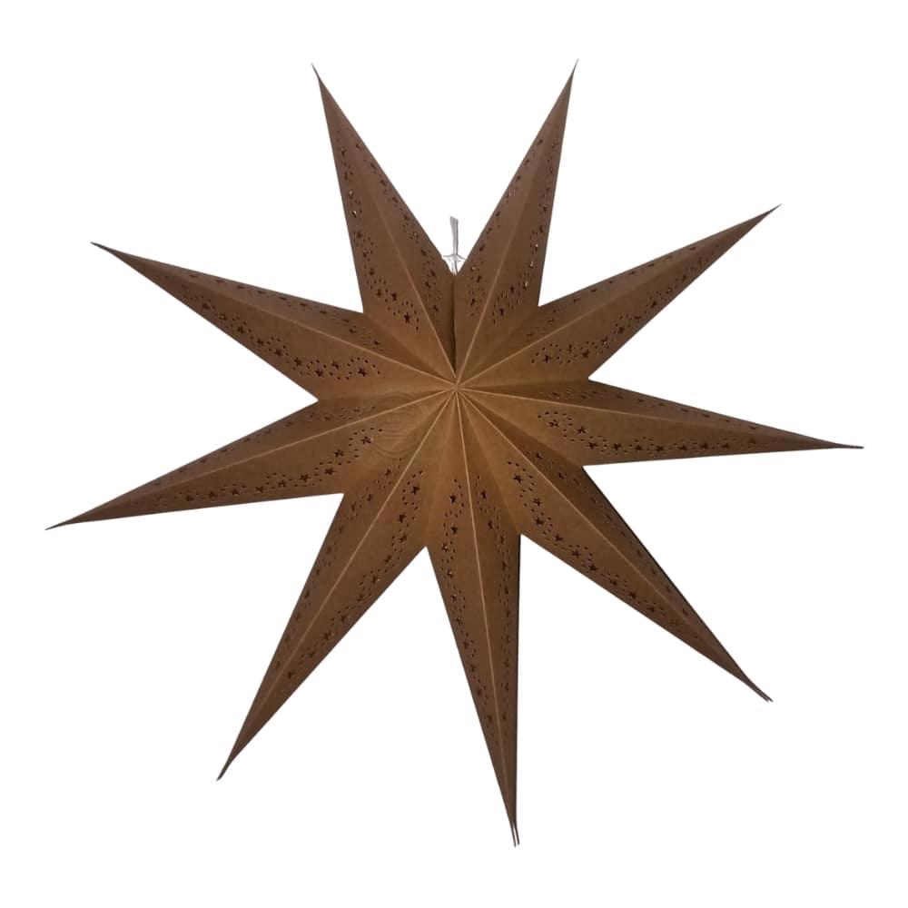 EP 065 9 Pointer Punched Star