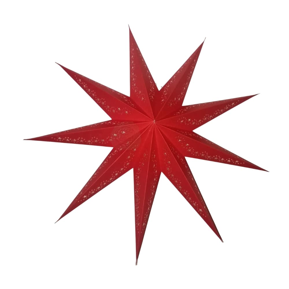 EP 065 9 Pointer Punched Star