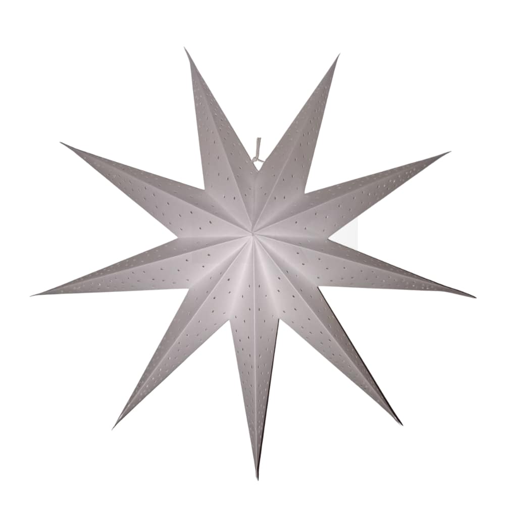 EP 201 9 Pointer Punched Star