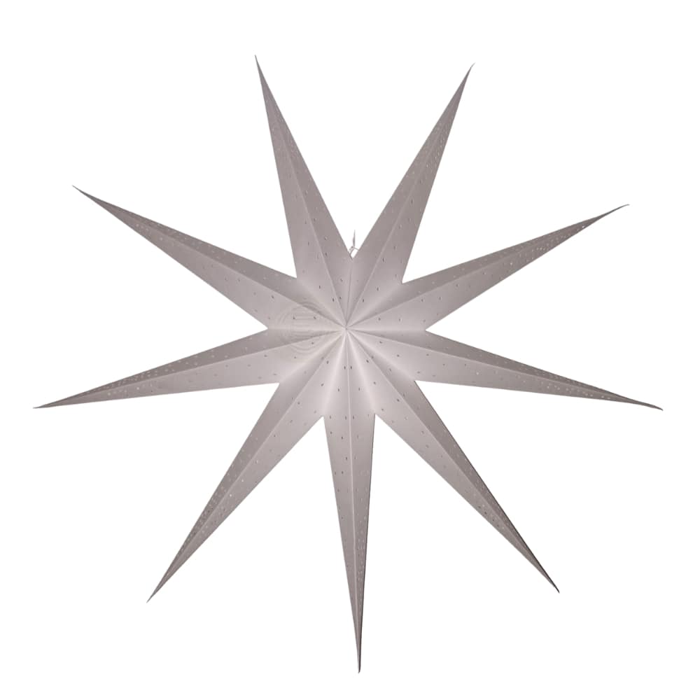 EP 201 9 Pointer Punched Star