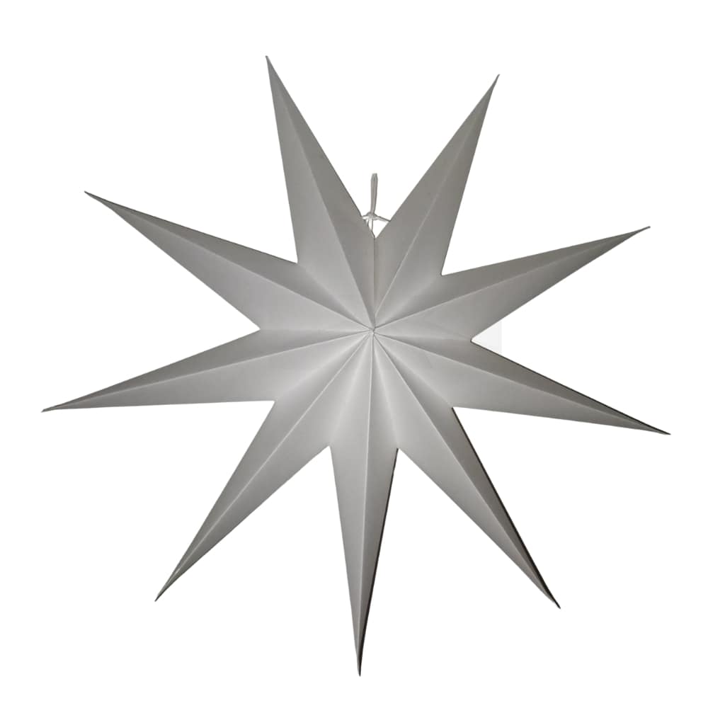 EP 210 9 Pointer without Punch Star